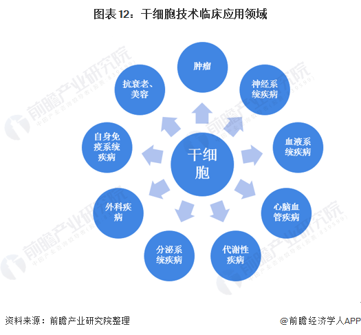 干細(xì)胞技術(shù)的臨床應(yīng)用領(lǐng)域與開發(fā)前景